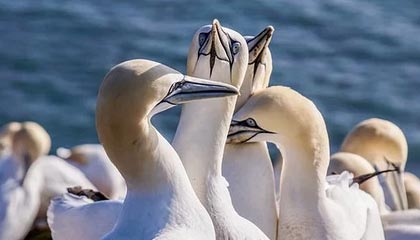 广州视能互联申请图片查询相关专利，提高目标图片数据查询效率