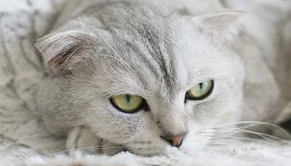 比特币矿企估值逻辑转变：从挖矿到AI算力供应的新征程