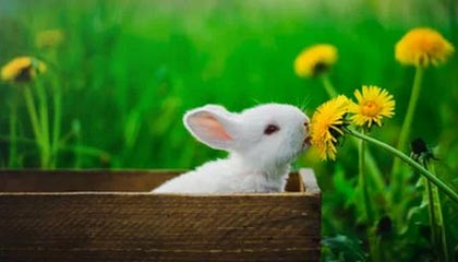 德林控股先旧后新配股筹近10亿港元，拓比特币挖矿等业务