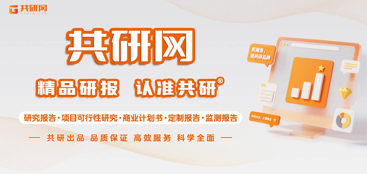 2025-2031年中国比特币行业调查与投资方向研究报告