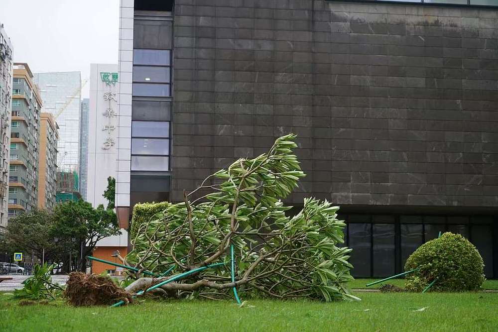 台风“桦加沙”逐渐远离 澳门改发三号风球