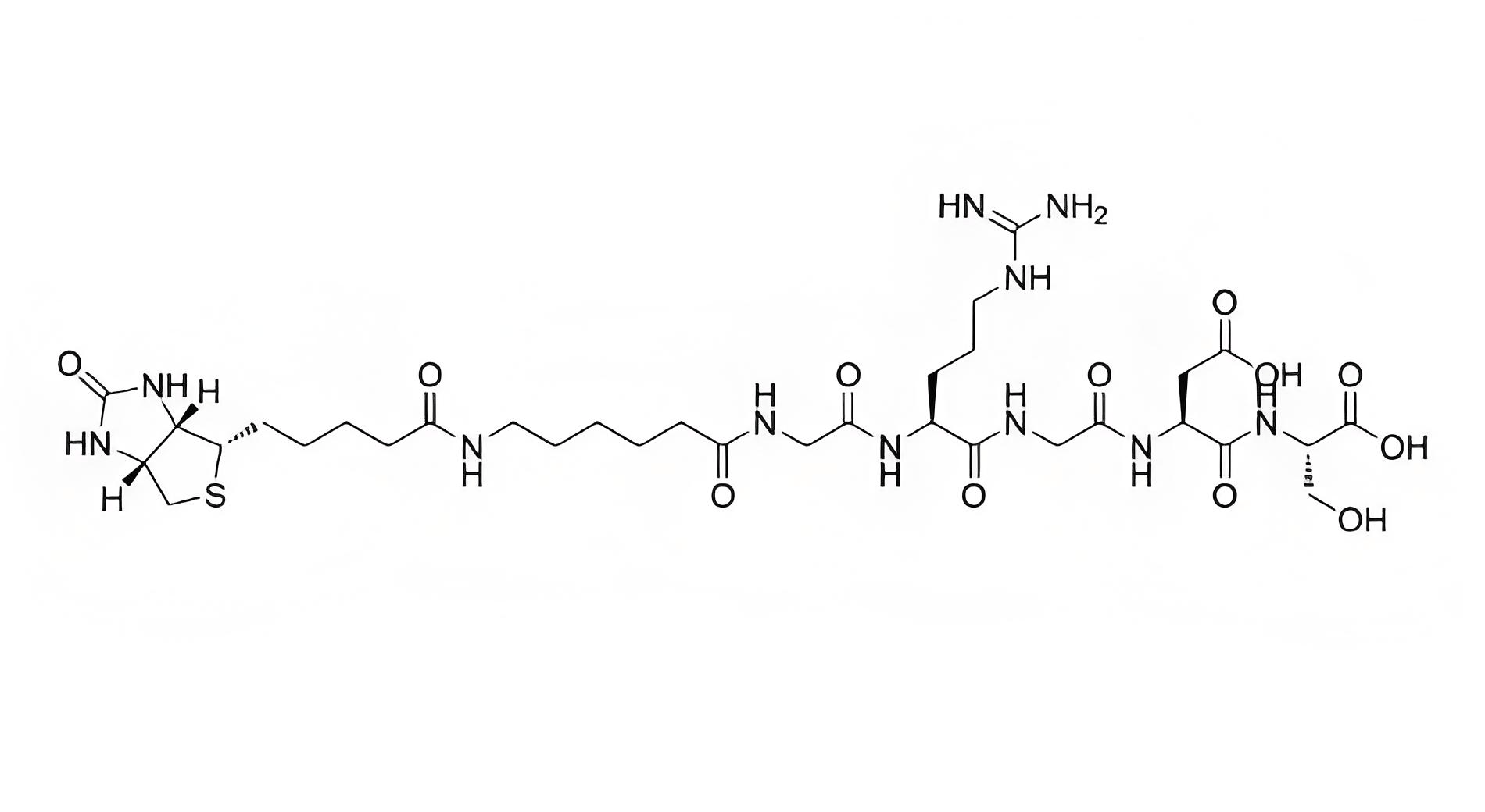 Biotinyl-(εAhx)-Gly-Arg-Gly-Asp-Ser ,2022956-45-0在细胞成像中的注意事项