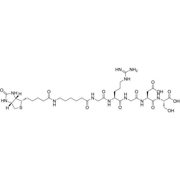 Biotinyl-(εAhx)-Gly-Arg-Gly-Asp-Ser适用于细胞粘附、靶向结合、蛋白互作实验