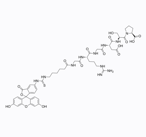 CAS号:2022956-44-9,Fluorescein-Ahx-Gly-Arg-Gly-Asp-Ser-Pro的分子结构与功能详细分析