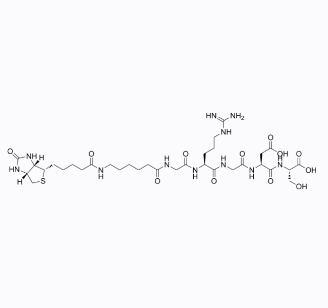 CAS号:2022956-45-0,Biotinyl-(εAhx)-Gly-Arg-Gly-Asp-Ser:适用于细胞-基质相互作用研究(详细分析)