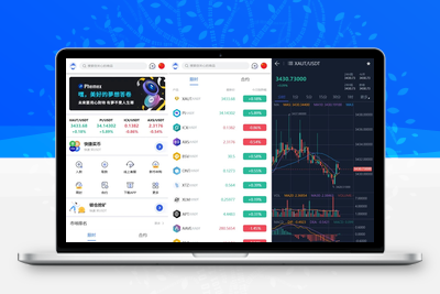 虚拟币交易系统开发(虚拟币交易系统app开发)