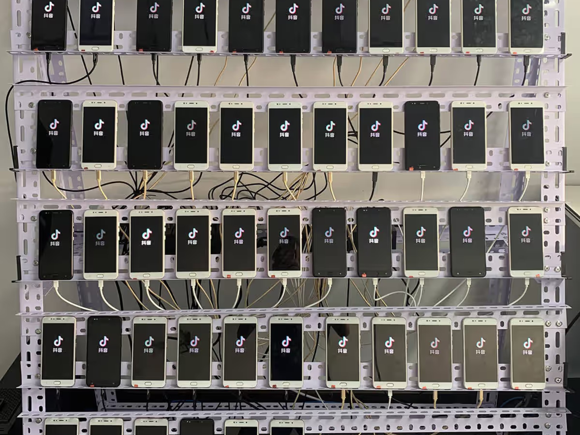 虚拟币群(虚拟币交流群 骗你没商量)